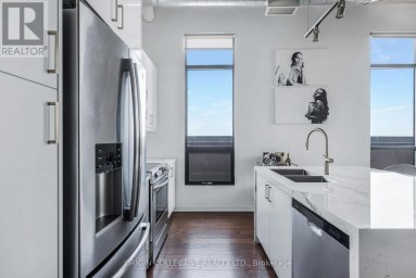 PH2 - 736 DUNDAS STREET E Toronto (Regent Park) Ontario photo 3