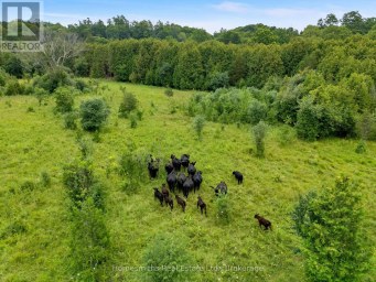 2856 BALTIBROOK ROAD Hamilton Township (Baltimore) Ontario photo 42