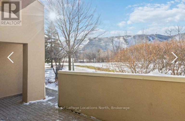 117 - 107 WINTERGREEN PLACE N, Blue Mountains, Ontario, L9Y0P8