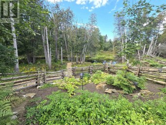 8567 OLD HASTINGS ROAD Tudor & Cashel Ontario photo 42
