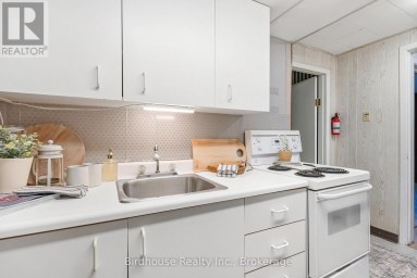 168 ADELAIDE STREET N Kawartha Lakes (Lindsay) Ontario photo 34