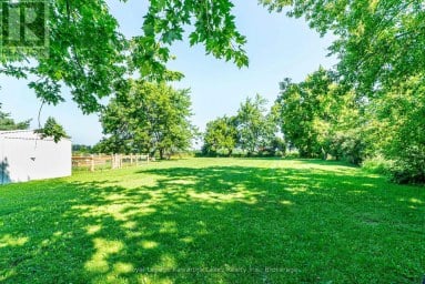 907 HIGHWAY 7 Kawartha Lakes (Oakwood) Ontario photo 11
