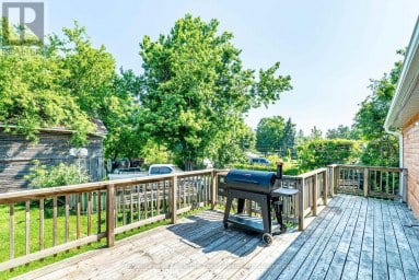 907 HIGHWAY 7 Kawartha Lakes (Oakwood) Ontario photo 14
