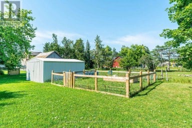 907 HIGHWAY 7 Kawartha Lakes (Oakwood) Ontario photo 49