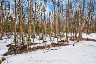 29 NIDA DRIVE Tiny Ontario photo 39