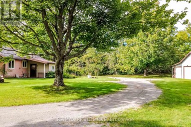 574 LAKE DALRYMPLE ROAD Kawartha Lakes (Carden) Ontario photo 30