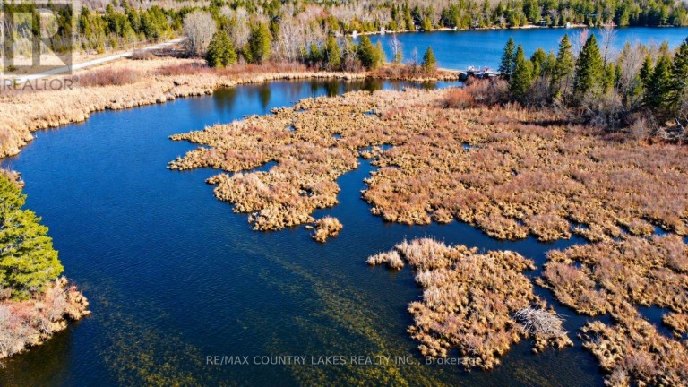 LT 5 VICTORIA ROAD, Kawartha Lakes (Carden), Ontario, K0M2B0