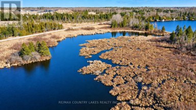 LT 5 VICTORIA ROAD Kawartha Lakes (Carden) Ontario photo 5