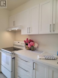 #215 - 5 MASSEY SQUARE Toronto (Crescent Town) Ontario photo 9