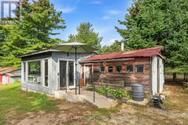 388 BLYTH PARK ROAD Cramahe Ontario photo 34