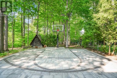 43 SAGEBRUSH LANE Toronto (Parkwoods-Donalda) Ontario photo 38