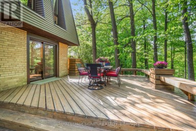 43 SAGEBRUSH LANE Toronto (Parkwoods-Donalda) Ontario photo 40