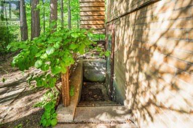 43 SAGEBRUSH LANE Toronto (Parkwoods-Donalda) Ontario photo 43