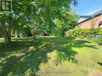 221A LIBERTY STREET N Clarington (Bowmanville) Ontario photo 5