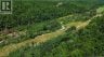 480 Upper Goshen Road, Elgin, New Brunswick, E4Z0C4 (ID NB148440)