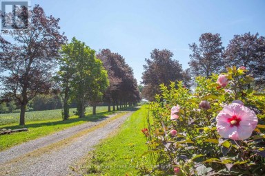 1350 4th Line Road, Port Hope Ontario