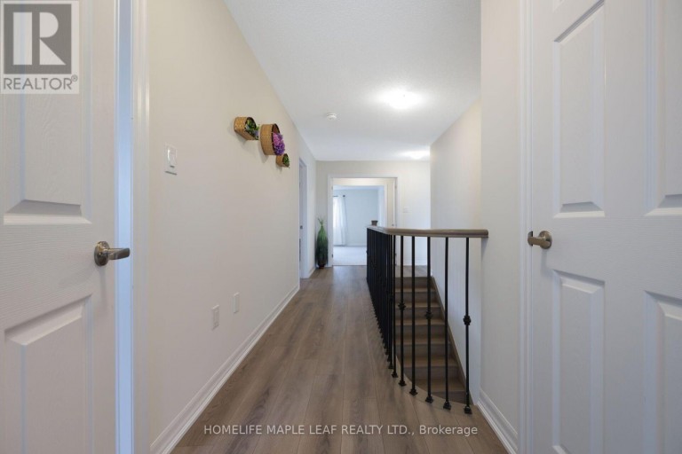 244 WARDEN STREET, Clearview (Stayner), Ontario, L0M1S0
