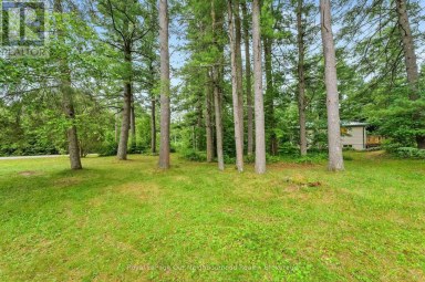 856 BEL TWP 2ND LANE Havelock-Belmont-Methuen (Belmont-Methuen) Ontario photo 44