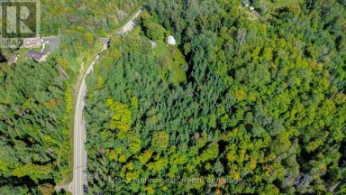 4388 LOOP ROAD Highlands East (Cardiff Ward) Ontario photo 17