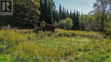 4388 LOOP ROAD Highlands East (Cardiff Ward) Ontario photo 2