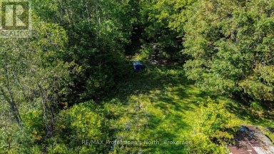 4388 LOOP ROAD Highlands East (Cardiff Ward) Ontario photo 25