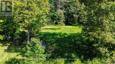4388 LOOP ROAD Highlands East (Cardiff Ward) Ontario photo 27