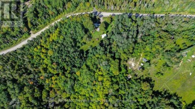 4388 LOOP ROAD Highlands East (Cardiff Ward) Ontario photo 4