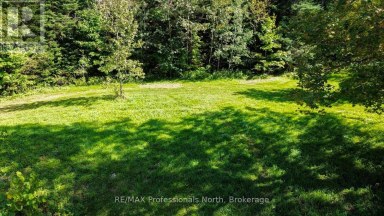 4388 LOOP ROAD Highlands East (Cardiff Ward) Ontario photo 5
