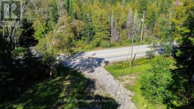 4388 LOOP ROAD Highlands East (Cardiff Ward) Ontario photo 6