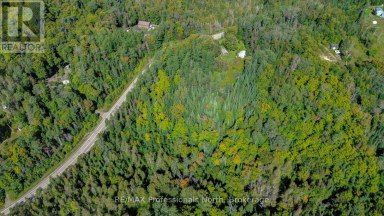 4388 LOOP ROAD Highlands East (Cardiff Ward) Ontario photo 7