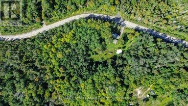 4388 LOOP ROAD Highlands East (Cardiff Ward) Ontario photo 8