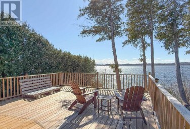 253 STEPHENSON POINT ROAD Scugog Ontario photo 36