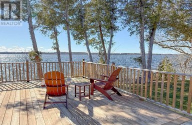 253 STEPHENSON POINT ROAD Scugog Ontario photo 37