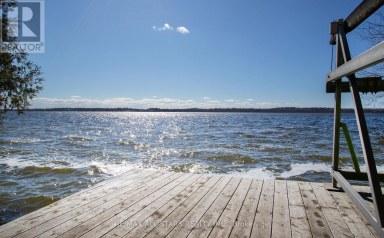 253 STEPHENSON POINT ROAD Scugog Ontario photo 42