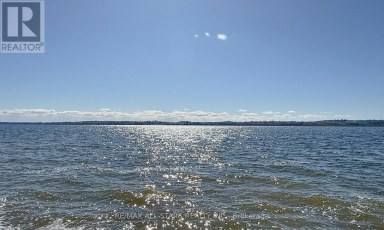 253 STEPHENSON POINT ROAD Scugog Ontario photo 43
