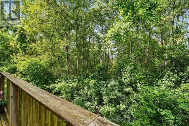 9 MEADOWBROOK LANE Blue Mountains Ontario photo 39