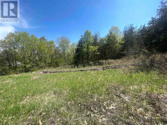 430 BEAVER ROAD, Trent Hills, Ontario, K0K1L0