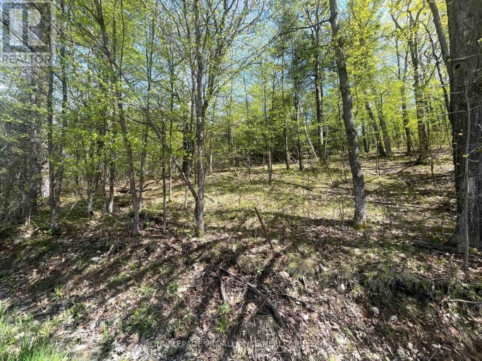 430 BEAVER ROAD, Trent Hills, Ontario, K0K1L0
