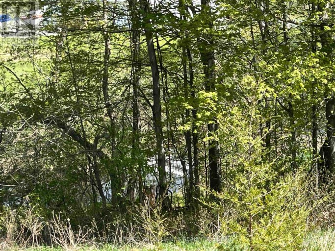 430 BEAVER ROAD, Trent Hills, Ontario, K0K1L0