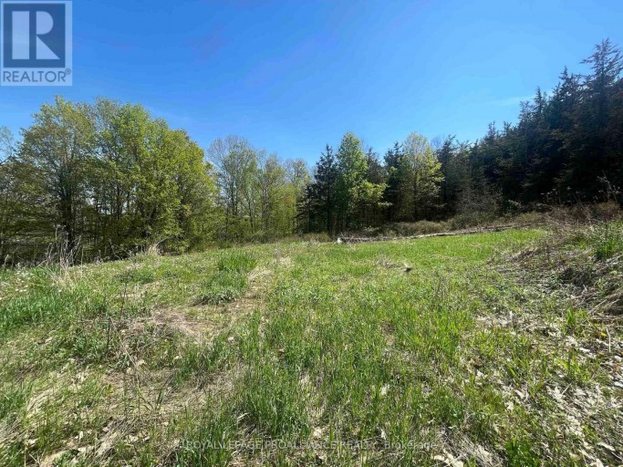 430 BEAVER ROAD, Trent Hills, Ontario, K0K1L0
