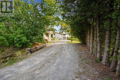 217 GODOLPHIN ROAD Trent Hills (Warkworth) Ontario photo 2