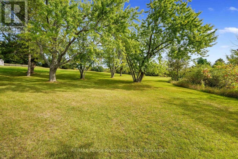 217 GODOLPHIN ROAD, Trent Hills (Warkworth), Ontario, K0K3K0