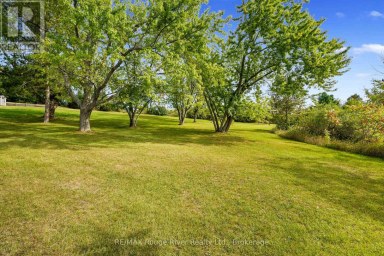 217 GODOLPHIN ROAD Trent Hills (Warkworth) Ontario photo 25
