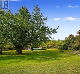 217 GODOLPHIN ROAD Trent Hills (Warkworth) Ontario photo 5