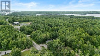 1746 LAKEHURST ROAD Trent Lakes Ontario photo 45
