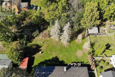 49 QUEEN STREET Kawartha Lakes (Bobcaygeon) Ontario photo 29
