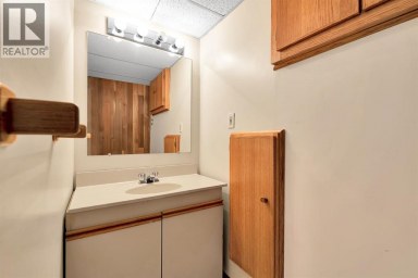 4127 Maryvale Road NE Calgary Alberta photo 32