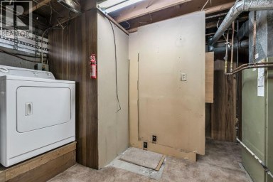 4127 Maryvale Road NE Calgary Alberta photo 33