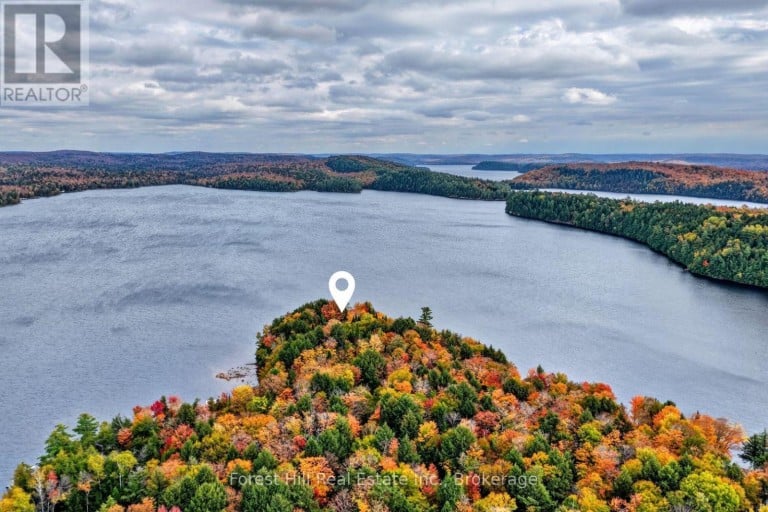 1089 LUTES LANE, Algonquin Highlands (mcclintock), Ontario, P0A1E0 (ID X13821104)