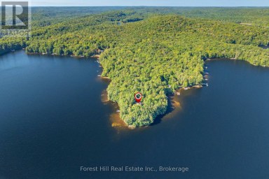 1089 LUTES LANE Algonquin Highlands (McClintock) Ontario photo 10